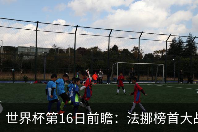世界杯第16日前瞻：法挪榜首大战又见马宁身影 关注亚洲三队命运