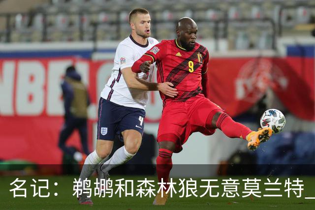 名记：鹈鹕&森林狼无意莫兰特 热火也不急于尝试其与字母哥的搭档